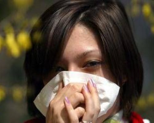 Allergie: effetto pollini sugli esami di maturità, i voti calano quando sono nell’aria