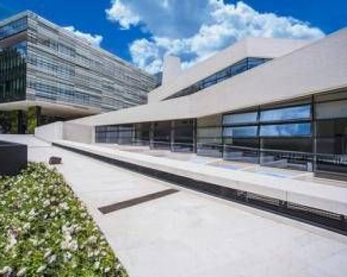 Angelini Academy e Ie Business school insieme per sviluppare il talento, 1 mln di euro per 10 borse di studio