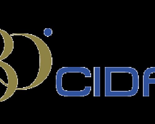 Cida, la Confederazione dei dirigenti compie 80 anni, nata nel 1946 come la Repubblica