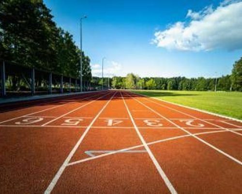 Ecco lo sport trader, gestisce rischio e prende decisioni in contesti ad alta incertezza