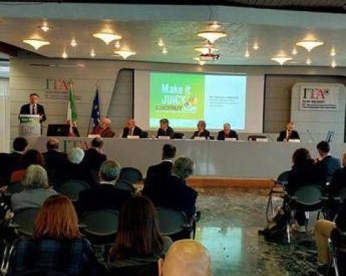 Filiera mondiale dell’ortofrutta si incontra a Macfrut, settore vale circa 19 mld euro