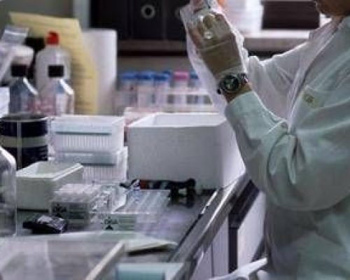 Malattie rare – fenilchetonuria, Cazzorla (Ao Padova): “Più qualità di vita con nuove cure”