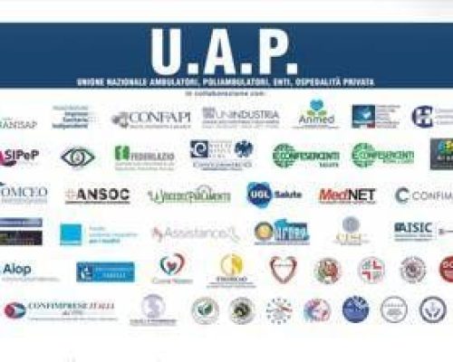 Manifestazione nazionale Uap al Teatro Brancaccio di Roma