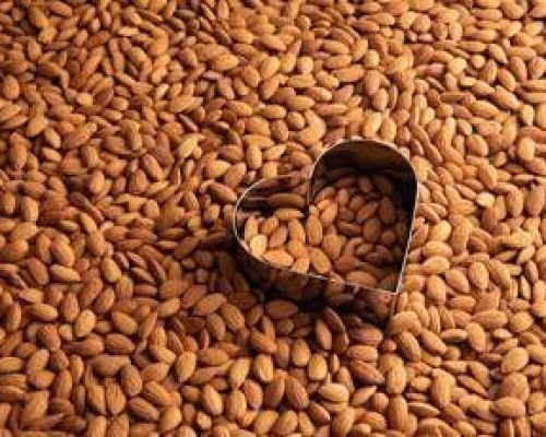 Salute: studio, ‘consumo regolare di mandorle promuove salute del cuore’